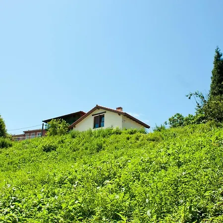 La Panera Del Carbain